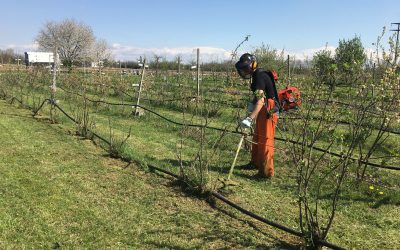 “Coltiviamo il nostro futuro” – nella Fase 2…ancor più di prima!